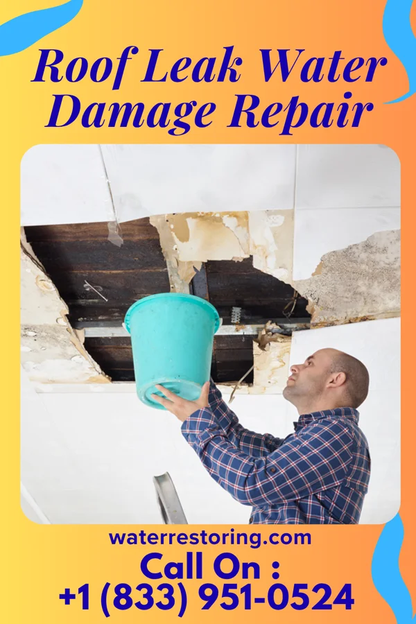 Roof Leak Water Damage Repair in Bennington, KS